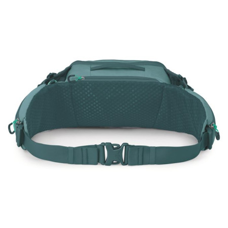 Ledvinka Osprey Savu 5