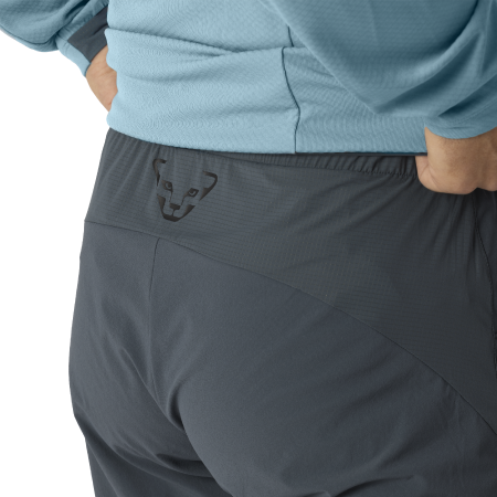 Pánské kraťasy Dynafit Traverse Hybrid Shorts M