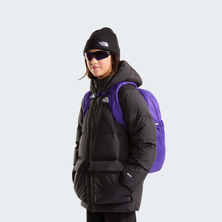 Školní batoh pro 2. stupeň The North Face Y Court Jester