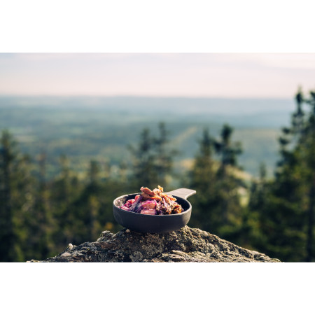 Hotové jídlo Adventure Menu Svatomartinská husa