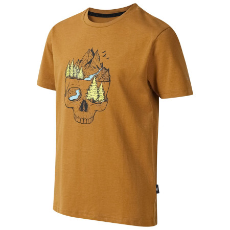 Dětské triko Dare 2b Trailbazer III Tee Dark Cumin