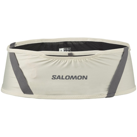 Ledvinka Salomon Pulse