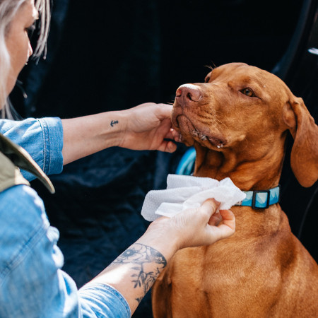 Vlhčené ubrousky pro psy Explorer Dog Přírodní vlhčené ubrousky pro psy 40 ks