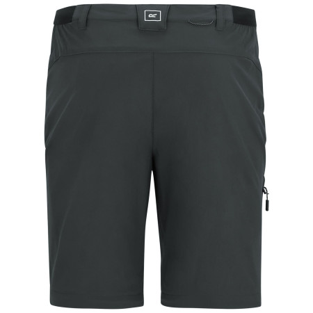 Pánské kalhoty Regatta Anti-Insect Travel Light Z/O Trousers