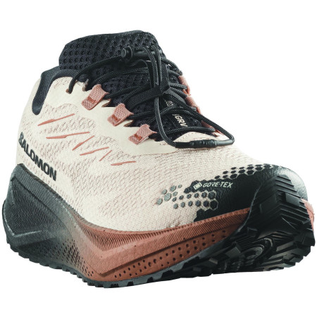 Pánské boty Salomon Aero Blaze 4 Grvl Gtx