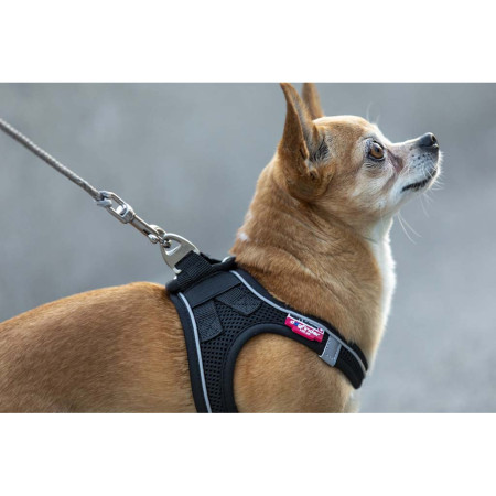 Vodítko na psa Curli Ultra Strong Pocket Leash