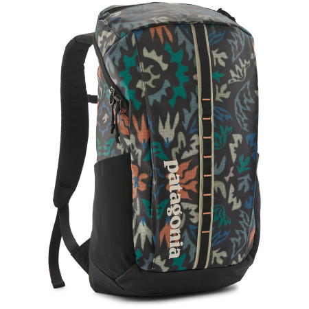 Batoh Patagonia Black Hole Pack 25L