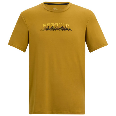 Pánské triko Regatta Fingal Stretch