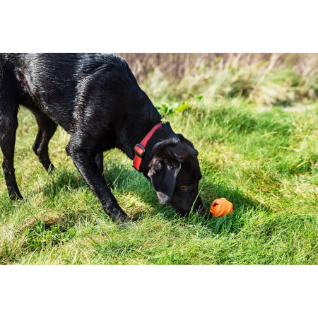 Hračka pro psa Mountain Paws Dog Wave Treat Ball Dispenser