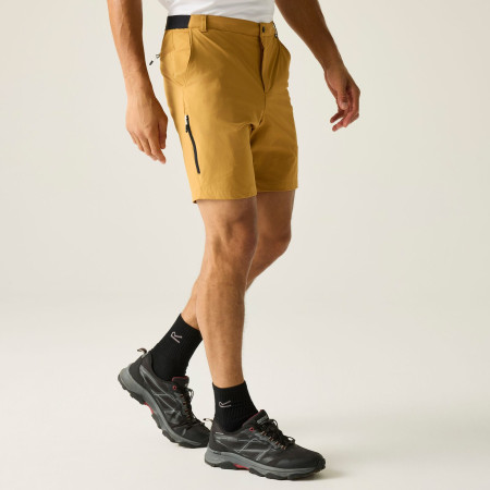 Pánské kraťasy Regatta Anti-Insect Travel Light Shorts