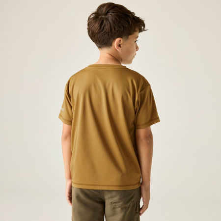 Dětské triko Regatta Alvarado Wood Brown