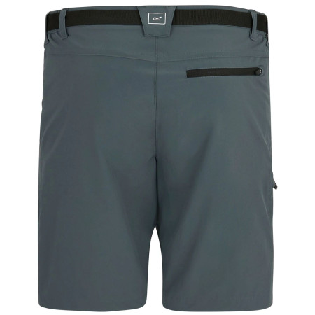 Pánské kraťasy Regatta Xert Stretch Shorts