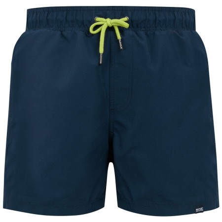 Pánské plavky Regatta Mawson Swim Shorts III