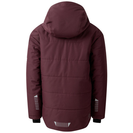 Dětská zimní bunda Dare 2b Explorer Jacket