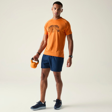Pánské triko Dare 2b Tech II Tee
