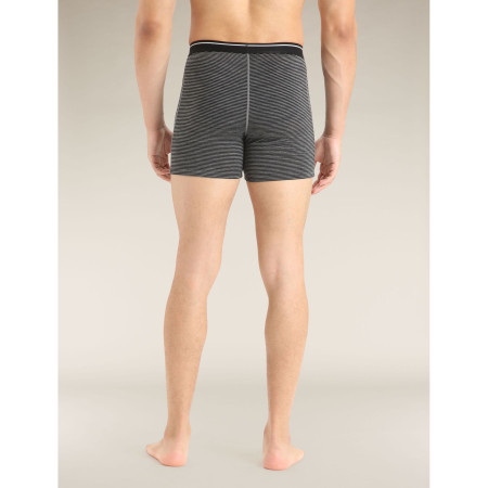 Pánské boxerky Icebreaker Mens Anatomica Boxers