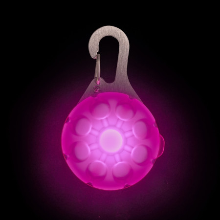 Svítící obojek pro psa Nite Ize SpotLit Rechargeable Collar Light