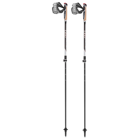 Nordic walking hole Leki Poles Instructor Lite