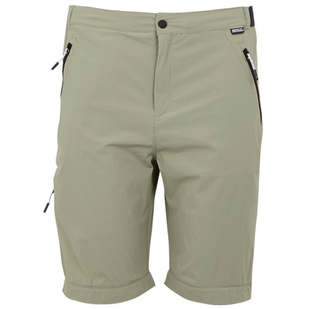 Pánské kalhoty Regatta Travel Light Z/O Packaway Trousers