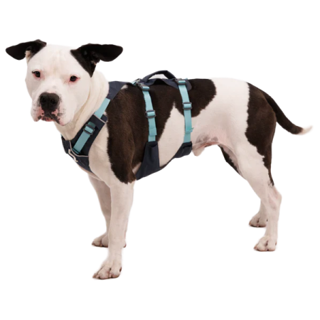 Postroj pro psa Ruffwear Flagline™ Harness