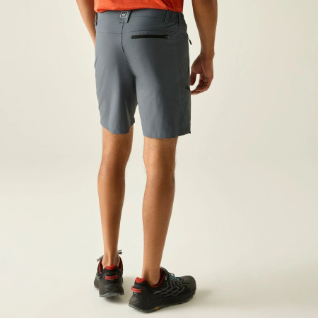 Pánské kraťasy Regatta Xert Stretch Shorts