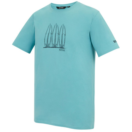 Pánské triko Regatta Cline IX