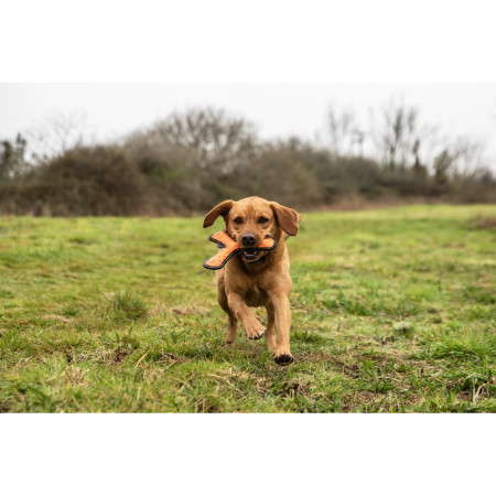 Hračka pro psa Mountain Paws Rubber Throw Dog Toy