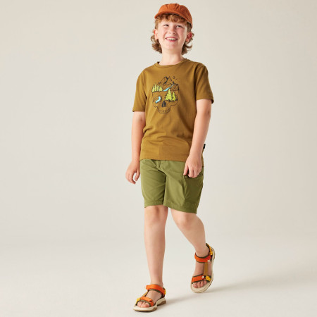 Dětské triko Dare 2b Trailbazer III Tee Dark Cumin