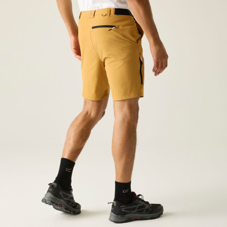 Pánské kraťasy Regatta Anti-Insect Travel Light Shorts