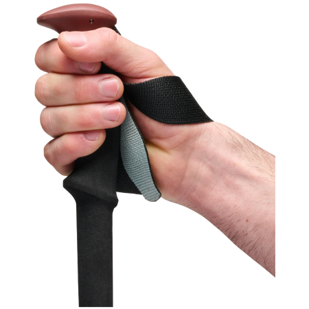 Trekové hole Black Diamond Trail Trekking Poles