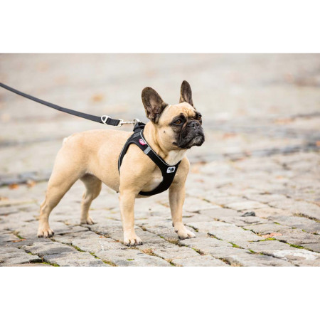 Vodítko na psa Curli Adjustable Leash Nylon