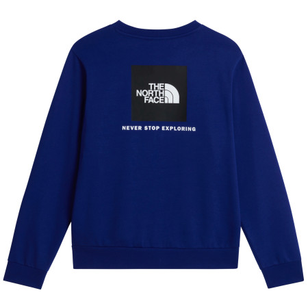 Pánská mikina The North Face M Evolution Box Nse Regular Crew