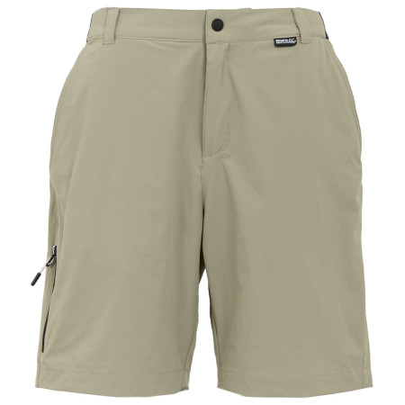 Pánské kraťasy Regatta Travel Light Packaway Shorts