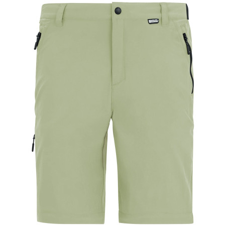 Pánské kalhoty Regatta Anti-Insect Travel Light Z/O Trousers