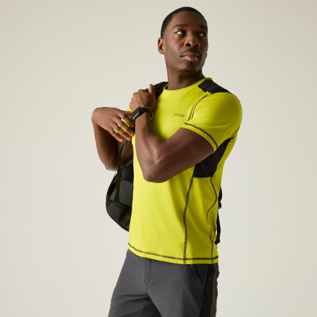 Pánské triko Regatta Virda