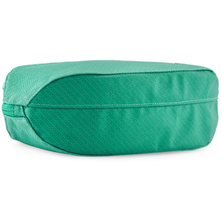 Cestovní pouzdro Patagonia Black Hole Cube 3L