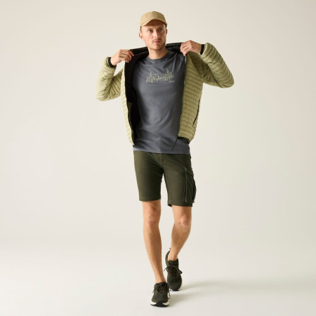 Pánské kraťasy Regatta Bendrick Shorts