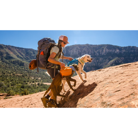 Batoh pro psa Ruffwear Approach™ Pack