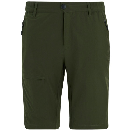 Pánské kraťasy Regatta Highton Shorts Long II