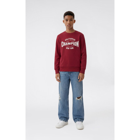 Dětská mikina Champion Crewneck Sweatshirt B GMS