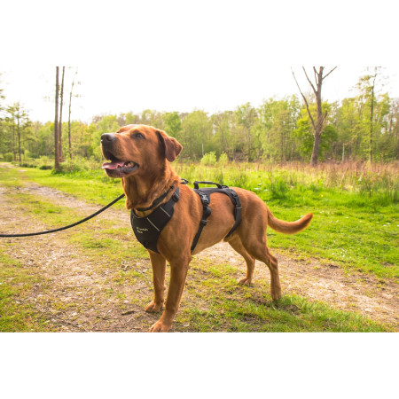 Postroj pro psa Mountain Paws 3-Strap Dog Harness