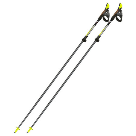 Nordic walking hole Fizan Carbon Pro 2-pcs