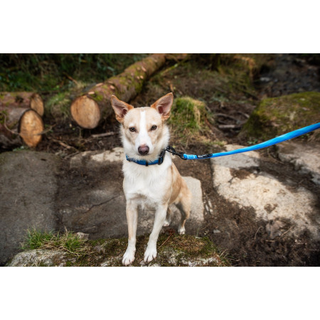 Vodítko na psa Mountain Paws Waterproof Dog Lead