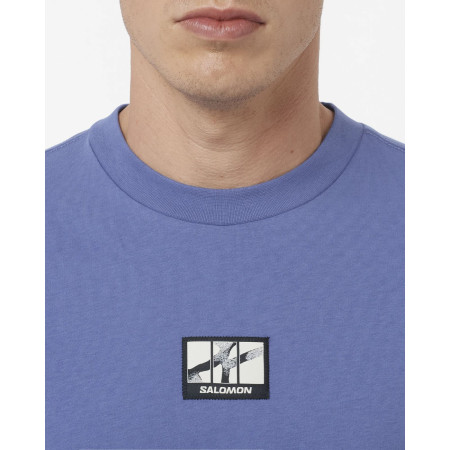 Pánské triko Salomon Wild Rays Label SS Tee