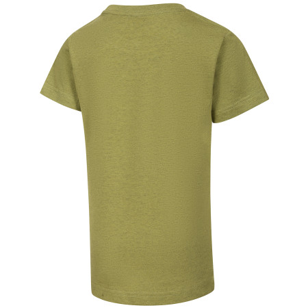 Dětské triko Alpine Pro Nogero Green Oasis