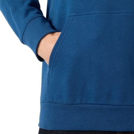 Pánská mikina Helly Hansen HH Logo Hoodie