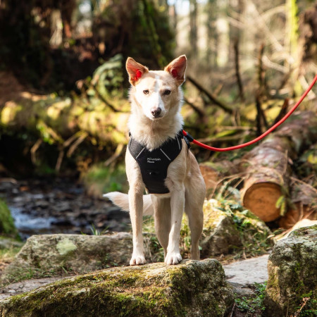 Postroj pro psa Mountain Paws Dog Harness