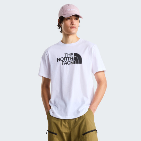 Pánské triko The North Face Evolution Half Dome Regular Short Slee