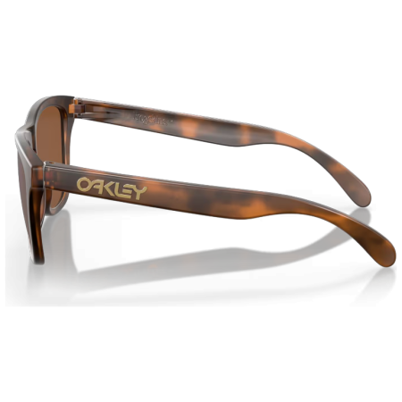 Sluneční brýle Oakley Frogskin Prizm Tungsten