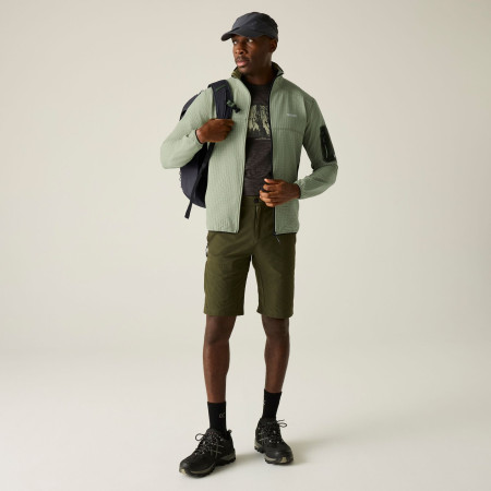 Pánská mikina Regatta Baslinn